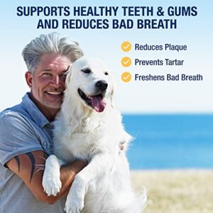 ProDen PlaqueOff Powder for Pets - Cat & Dog Breath Freshener - Plaque & Tartar Remover for Pet Oral Care - Supports Healthy Mouth for Dogs - 60g - Image 6